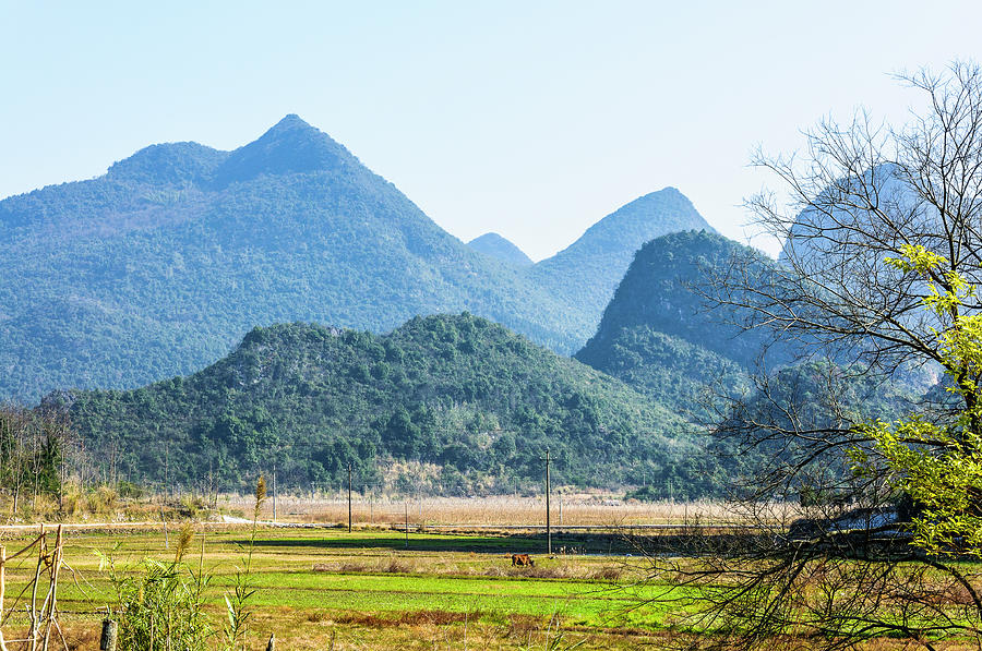 Karst mountains scenery in winter #14 Photograph by Carl Ning