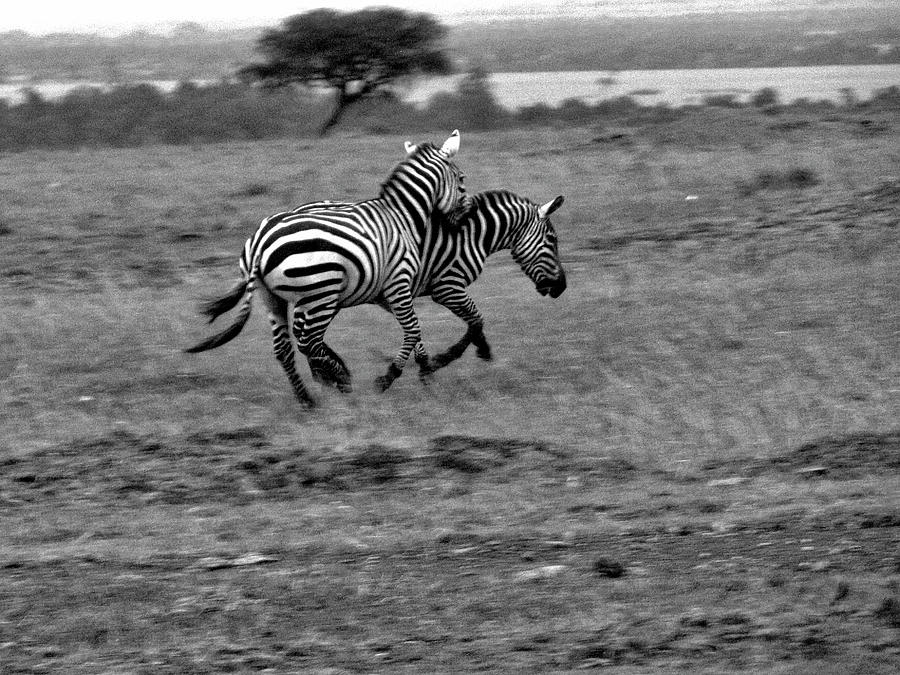 Kenya #14 Photograph by Paul James Bannerman