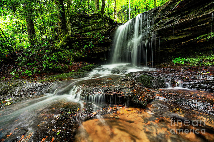 Lin Camp Branch Waterfall #14 Photograph by Thomas R Fletcher