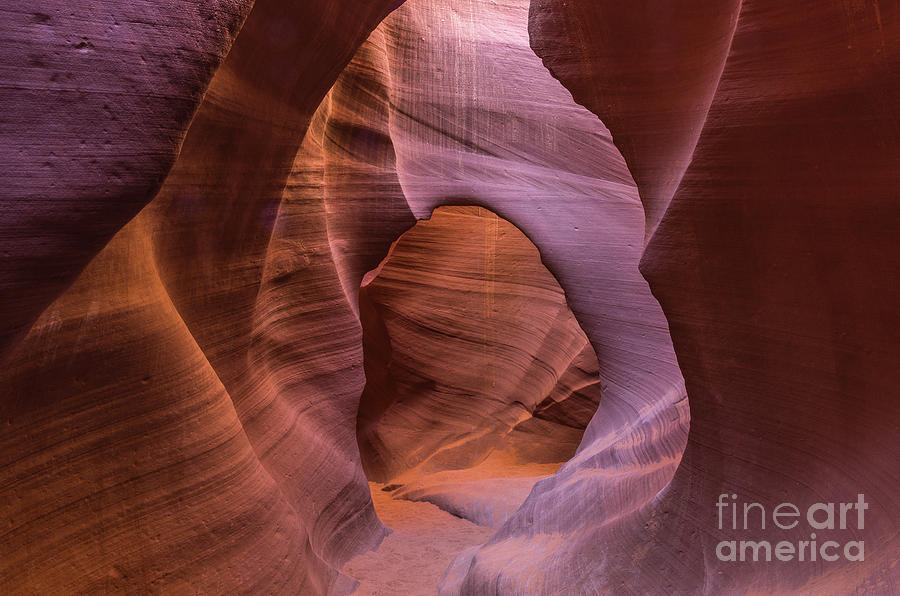 Lower Antelope Canyon #15 Photograph by Craig Shaknis