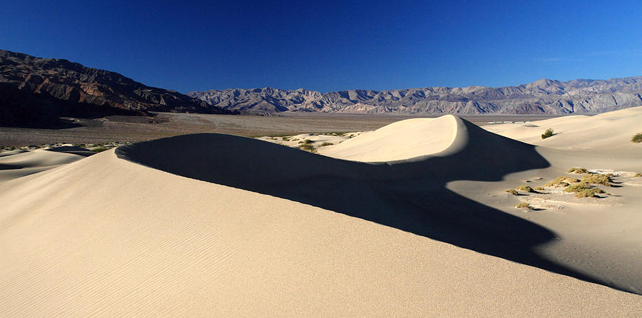 Mountain Photograph - Mesquite Sand dunes in Death Valley National park #14 by Pierre Leclerc Photography