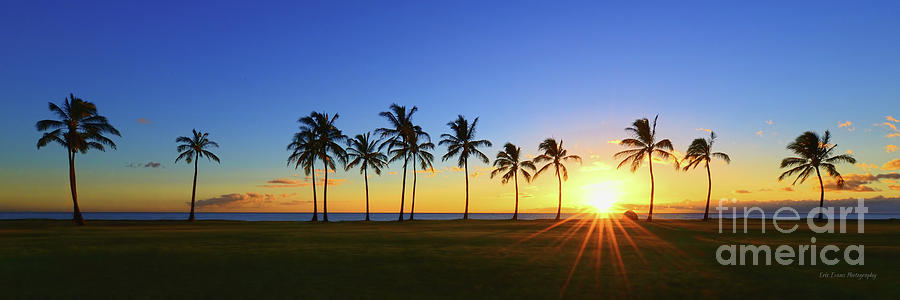 14 Palms Hawaiian Sunset Photograph by Aloha Art