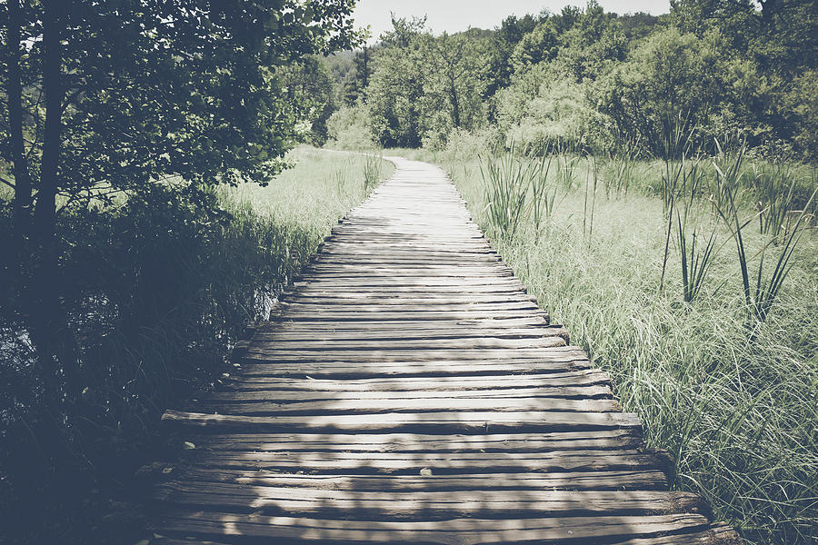 Retro Hiking Path with Sunlight with Instagram Style Vintage Fil #14 Photograph by Brandon Bourdages