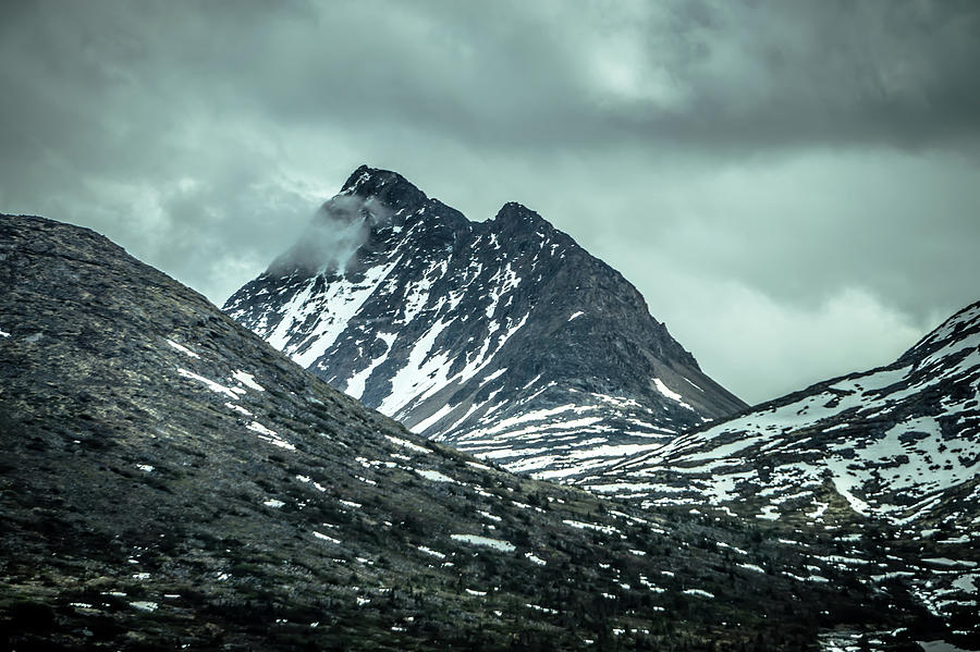 Rocky Mountains Nature Scenes On Alaska British Columbia Border #14 Photograph by Alex Grichenko