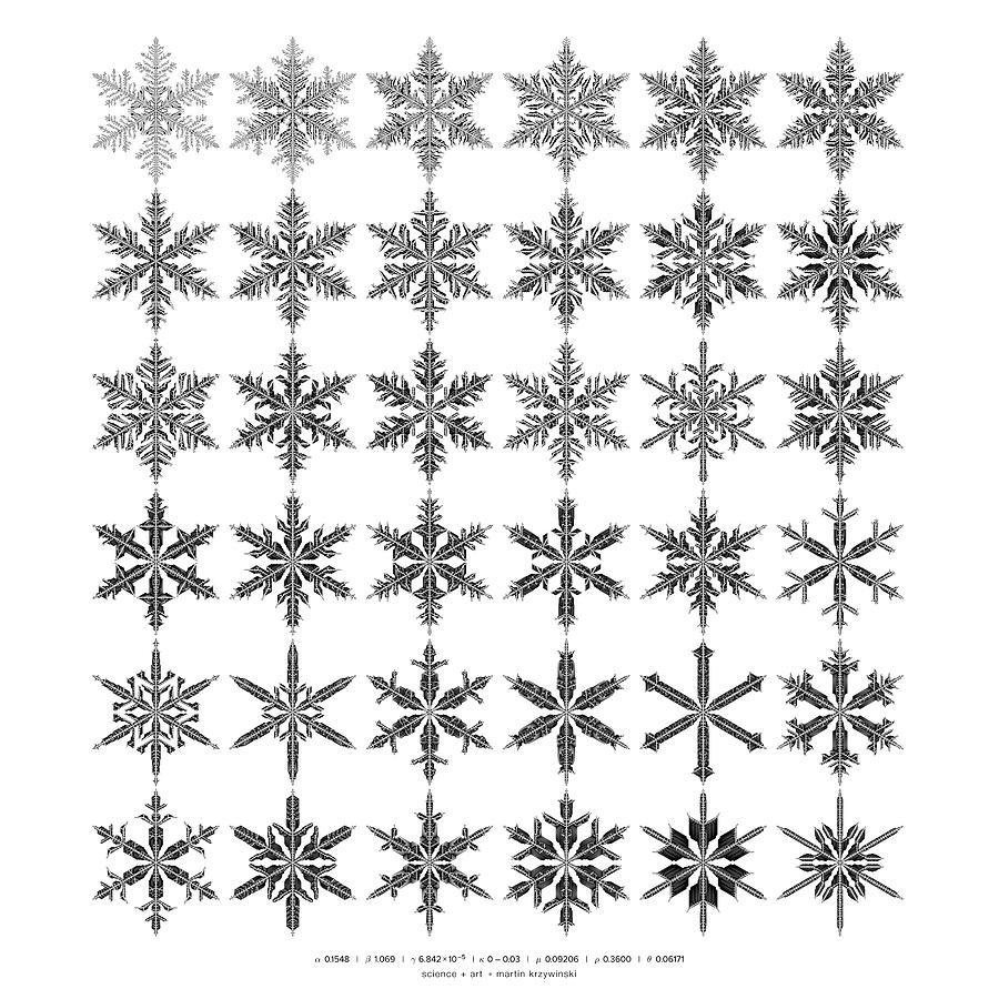 Snowflake simulation #14 Digital Art by Martin Krzywinski