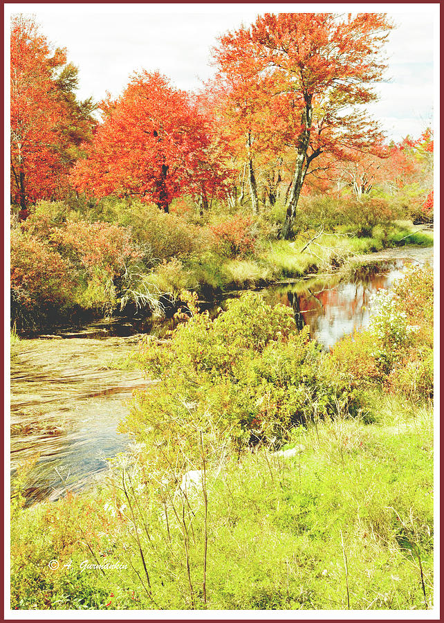 Stream in Autumn, Pocono Mountains, Pennsylvania #8 Photograph by A Macarthur Gurmankin