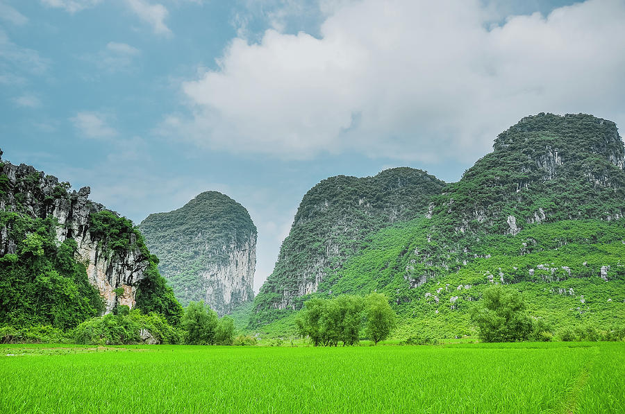 The beautiful karst rural scenery #14 Photograph by Carl Ning