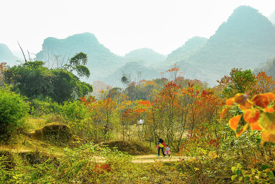 The colorful autumn scenery #14 Photograph by Carl Ning