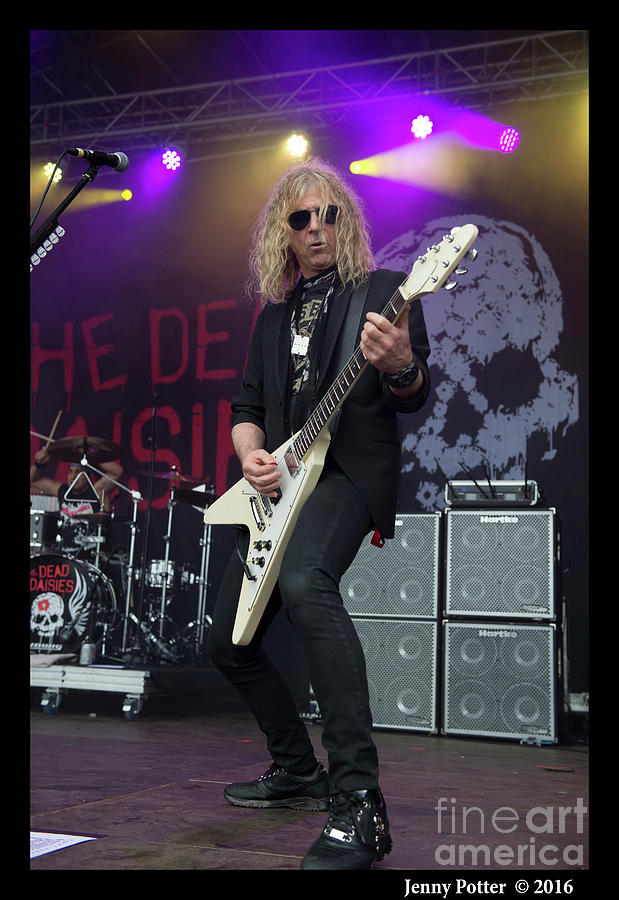 The Dead Daisies  #15 Photograph by Jenny Potter