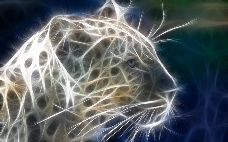 Tiger Digital Art - Tiger #14 by Super Lovely