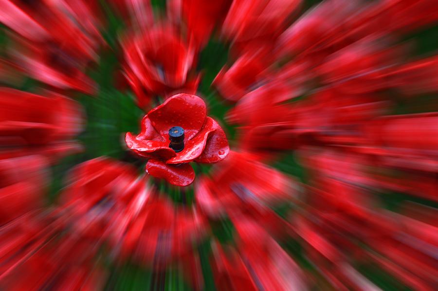 Poppy Photograph - Tower of London Poppies #15 by Chris Day