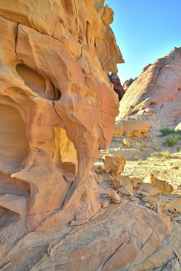 Valley of Fire High Country #3 Photograph by Ray Mathis