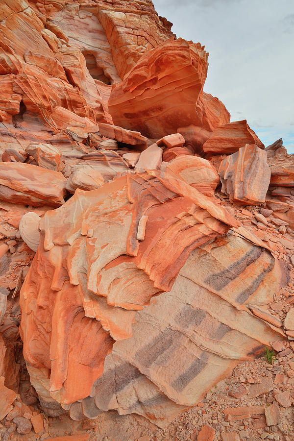 Waves of Color in Valley of Fire #14 Photograph by Ray Mathis