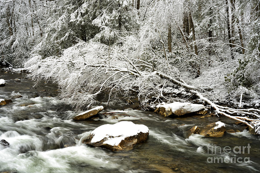 Winter Photograph - Winter along Cranberry River #14 by Thomas R Fletcher