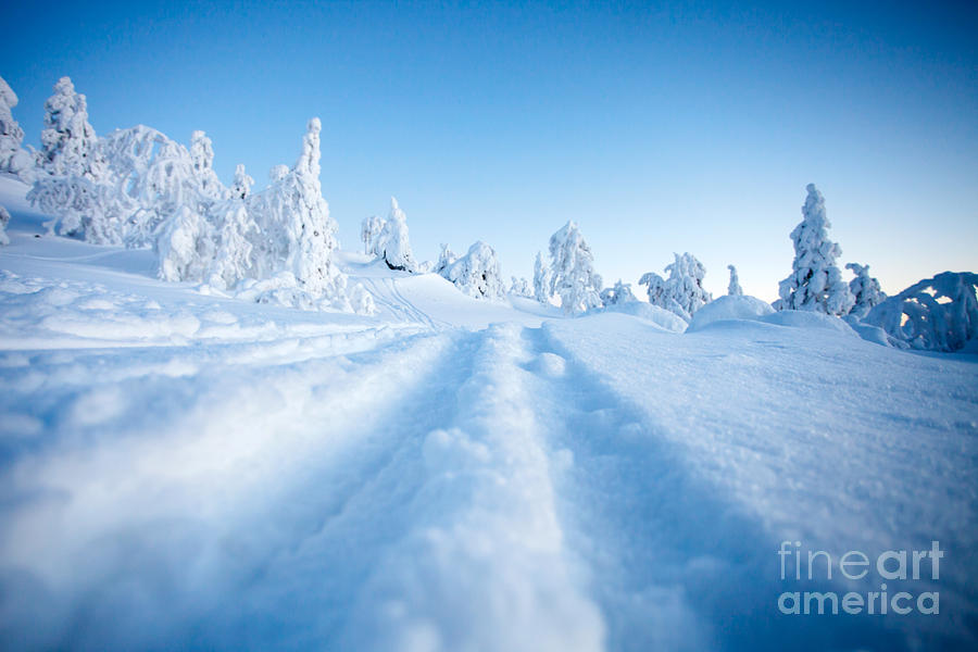 Winter in Lapland Finland #14 Photograph by Kati Finell