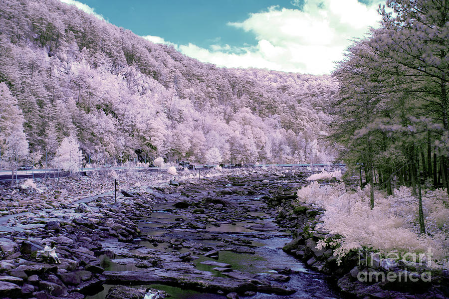 Infrared  #140 Photograph by FineArtRoyal Joshua Mimbs