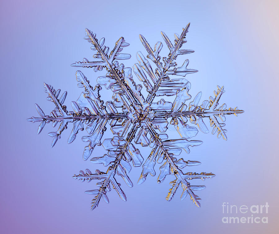 Winter Photograph - Snowflake #140 by Ted Kinsman