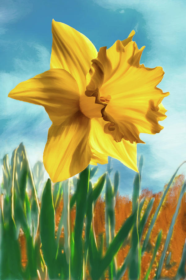 Daffodil Digital Art by Bill Johnson