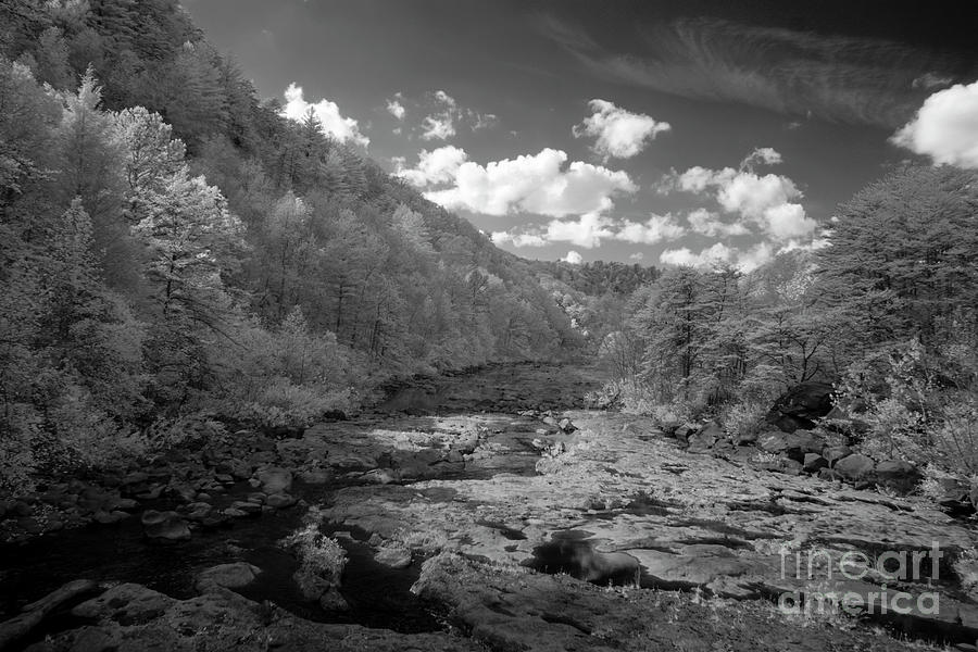 Infrared  #141 Photograph by FineArtRoyal Joshua Mimbs