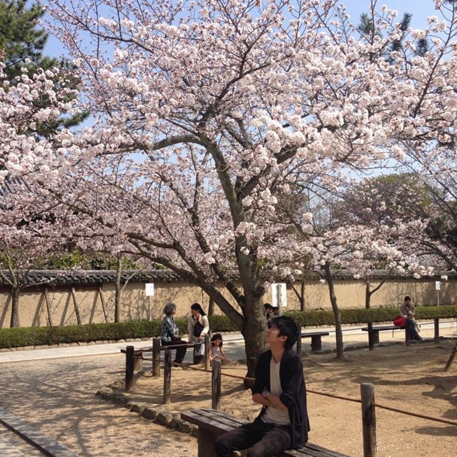 Spring Photograph - Instagram Photo #141462689728 by Kio Yoshida