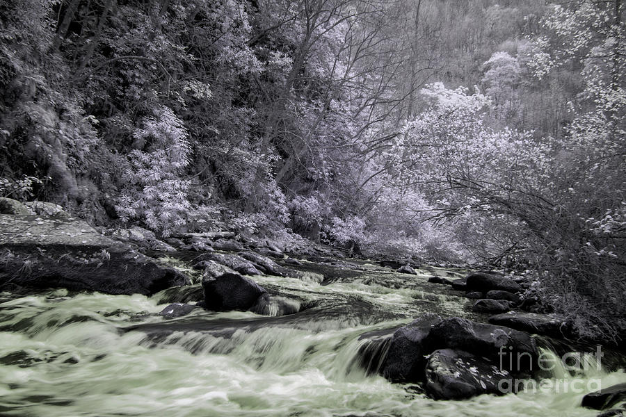 Infrared  #146 Photograph by FineArtRoyal Joshua Mimbs