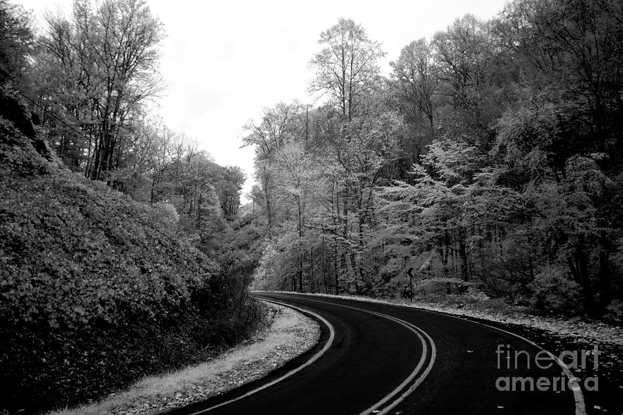 Infrared  #147 Photograph by FineArtRoyal Joshua Mimbs