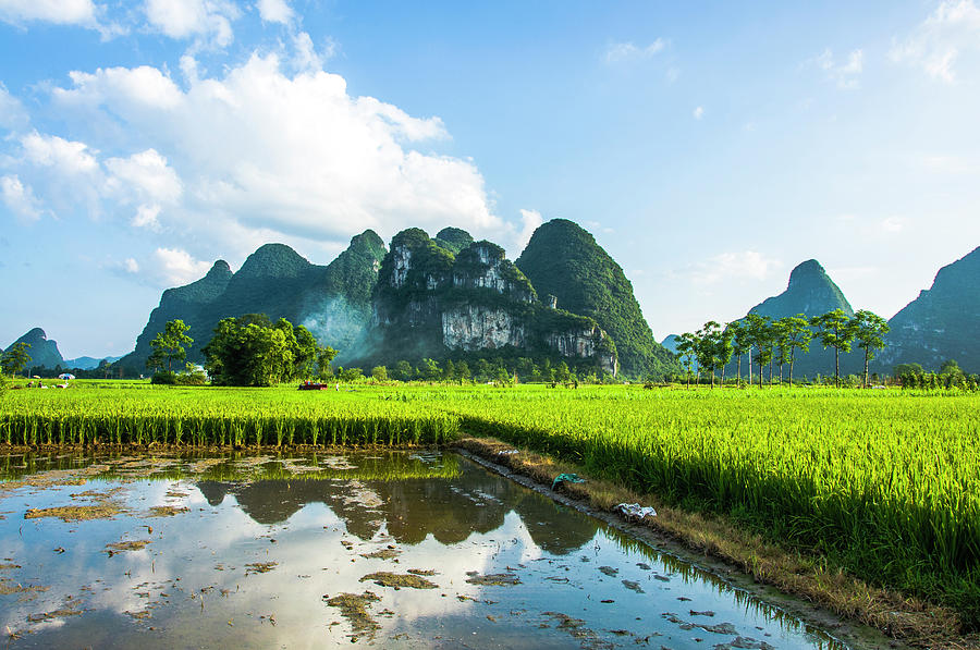 The beautiful karst rural scenery #147 Photograph by Carl Ning