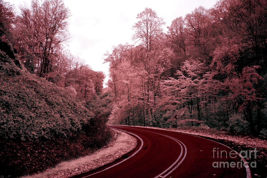 Infrared  #148 Photograph by FineArtRoyal Joshua Mimbs