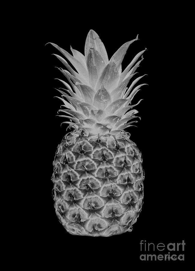 14b Artistic Glowing Pineapple Digital Art Greyscale Digital Art by Ricardos Creations