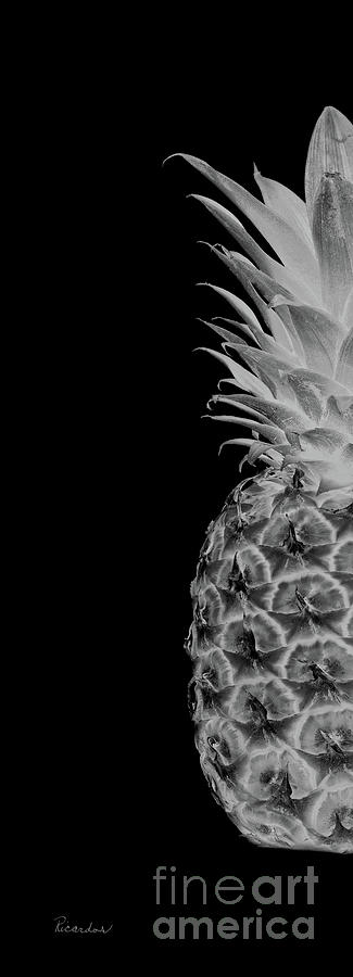 14BL Artistic Glowing Pineapple Digital Art Greyscale Photograph by Ricardos Creations