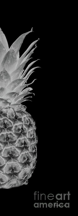 14BR Artistic Glowing Pineapple Digital Art Greyscale Photograph by Ricardos Creations