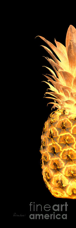 14gl Abstract Expressive Pineapple Digital Art Photograph by Ricardos Creations