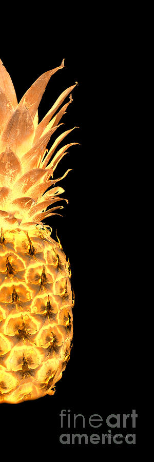 14gr Abstract Expressive Pineapple Digital Art Photograph by Ricardos Creations