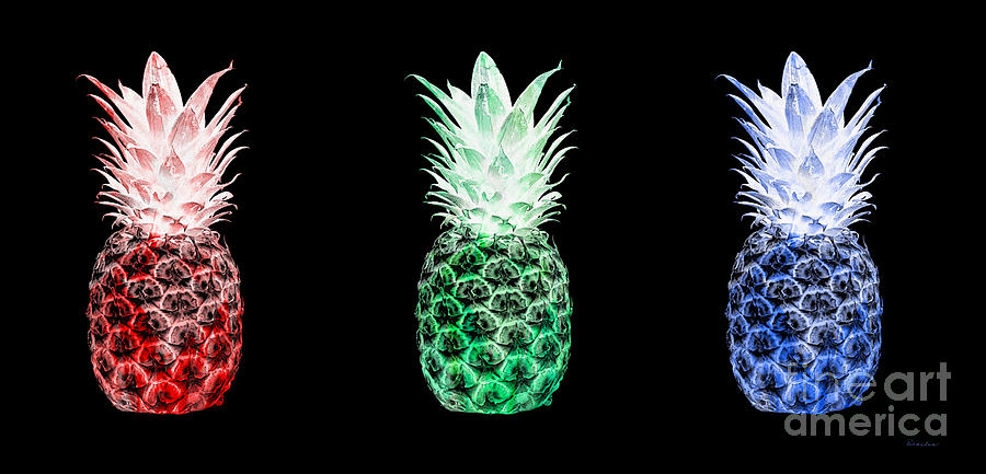 Triptych 14M Artistic Pineapple Red Green Blue Photograph by Ricardos Creations