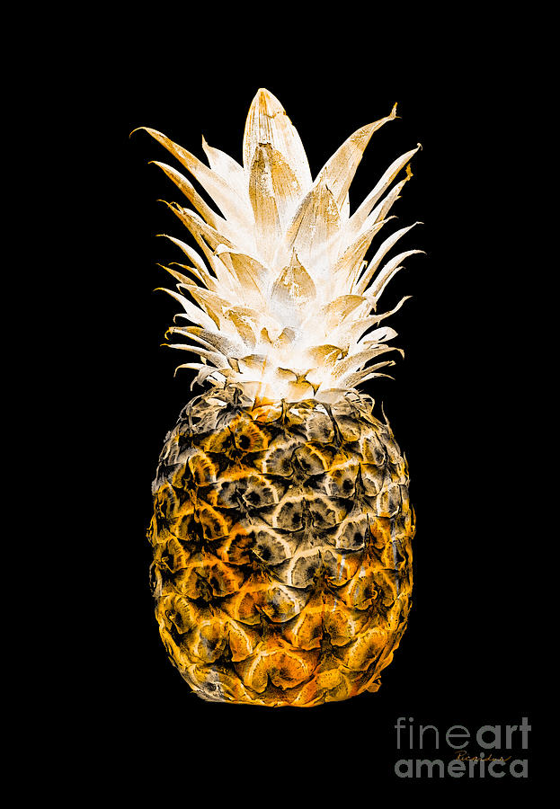 14O Artistic Glowing Pineapple Digital Art Orange Photograph by Ricardos Creations