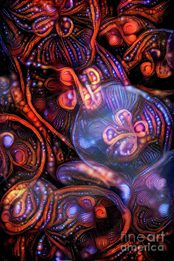 Abstract Jellyfish #15 Digital Art by Amy Cicconi