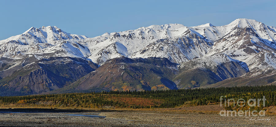 Alaska #15 Photograph by Steve Javorsky