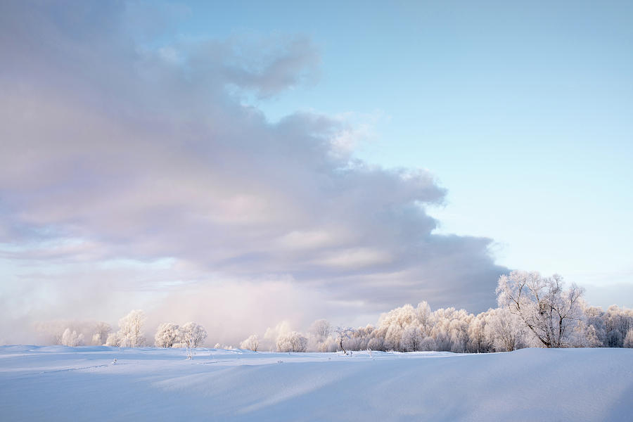 Amazing Landscape With Frozen Snow-covered Trees In Winter Morning #15 