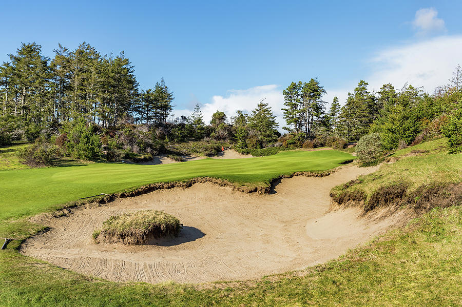 #15 at Bandon Trails Golf Course #15 Photograph by Mike Centioli