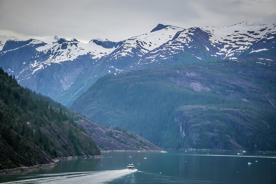 Beautiful Landscape In Alaska Mountains  #15 Photograph by Alex Grichenko