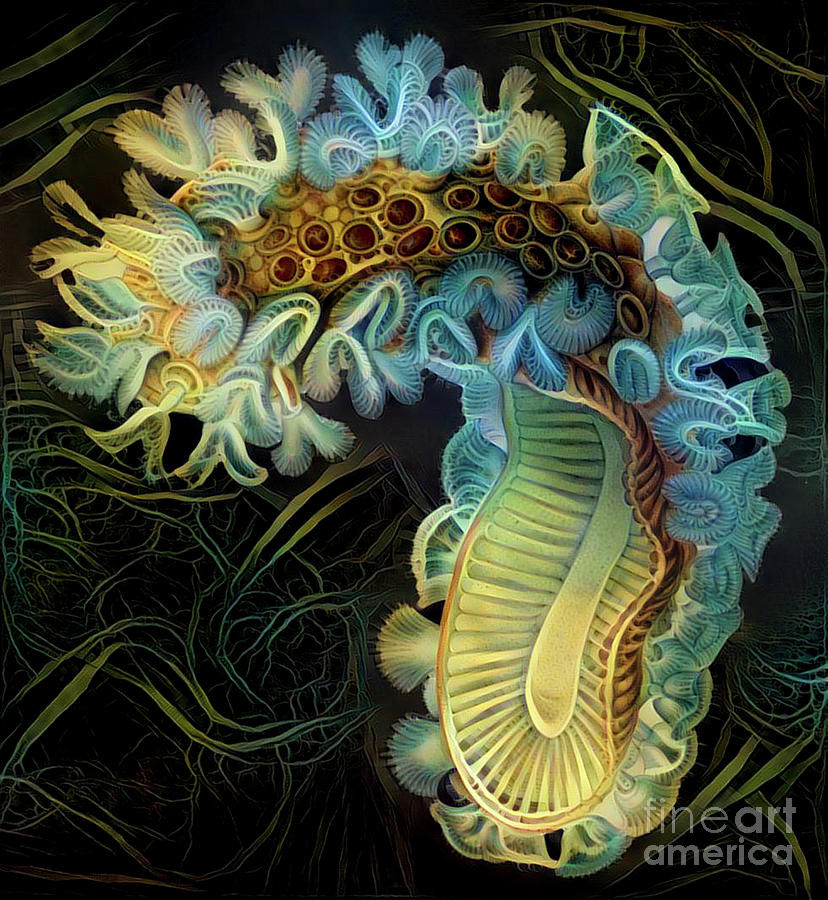Beautiful undersea coral #15 Digital Art by Amy Cicconi