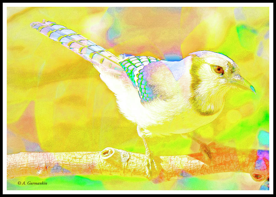 Blue Jay, Animal Portrait #4 Digital Art by A Macarthur Gurmankin