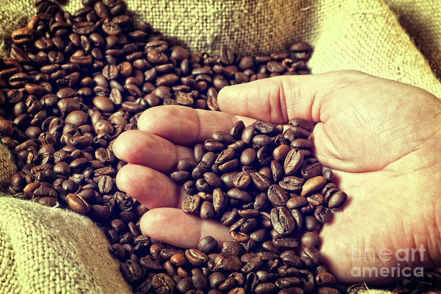 Espresso And Coffee Grain #15 Photograph by Gualtiero Boffi