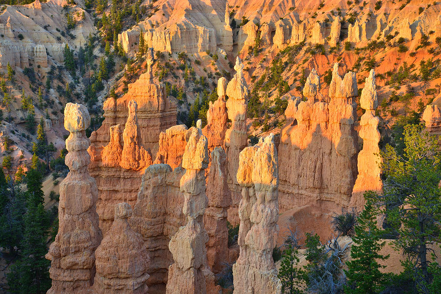 Fairyland Canyon #24 Photograph by Ray Mathis