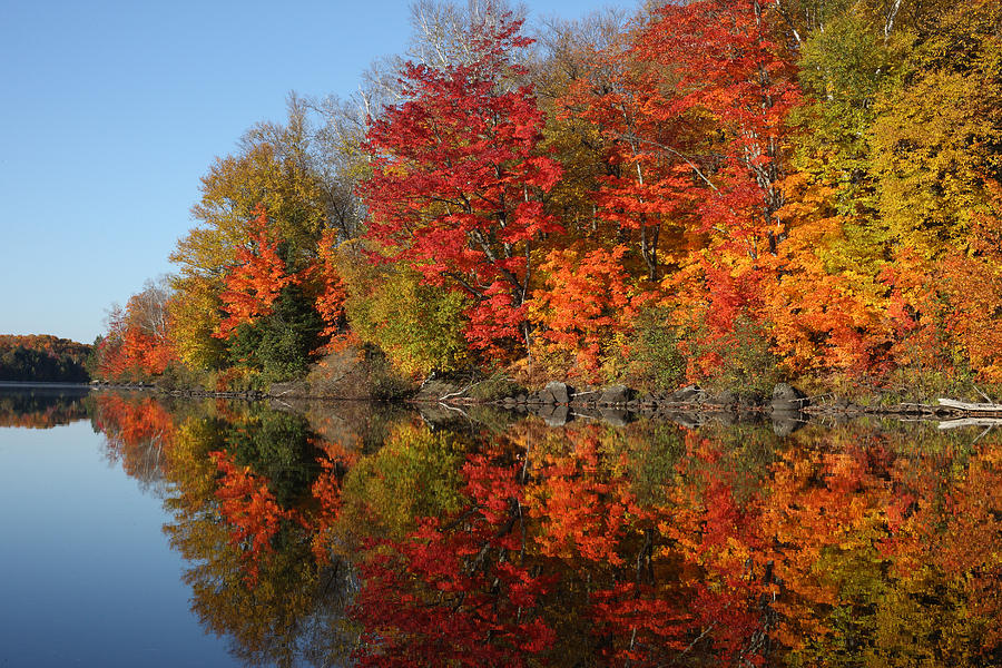 Fall colors on a lake Photograph by Mark Wallner - Fine Art America