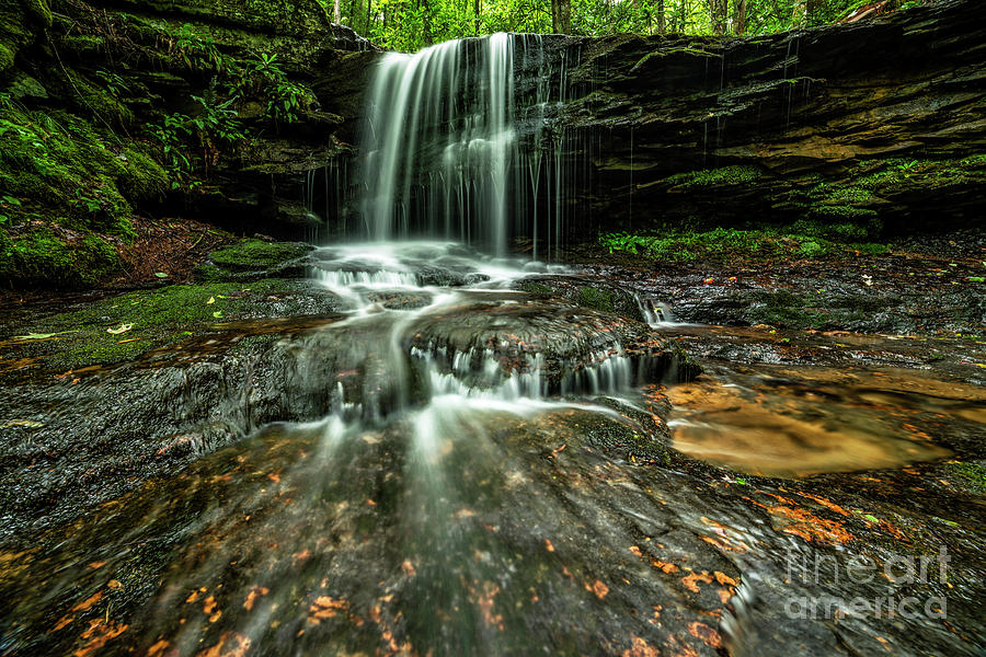 Lin Camp Branch Waterfall #15 Photograph by Thomas R Fletcher