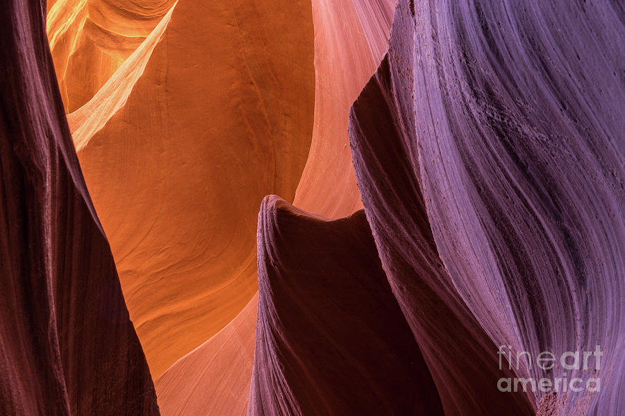 Lower Antelope Canyon #9 Photograph by Craig Shaknis