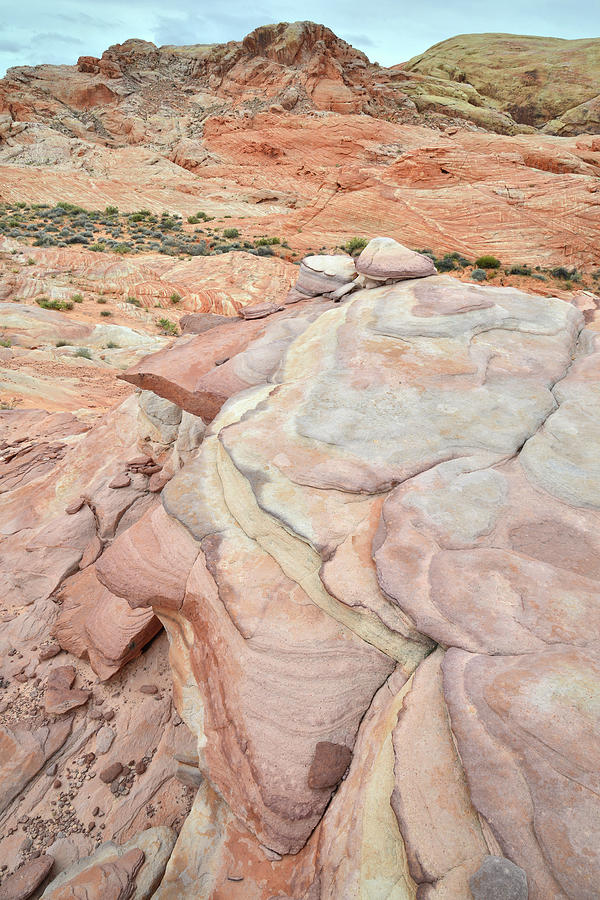 Multicolored Sandstone in Valley of Fire #14 Photograph by Ray Mathis