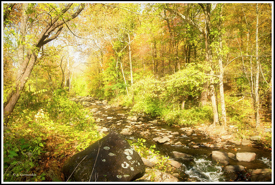 Pennsylvania Stream in Autumn #15 Photograph by A Macarthur Gurmankin