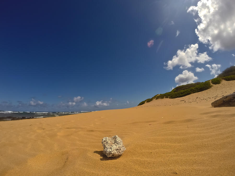 Poipu Beach Kauai #16 Photograph by Steven Lapkin